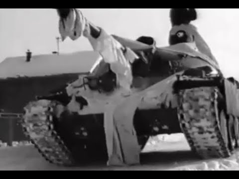 Mahir Burekovic - Ljiljane ljiljane (Beautiful Bosnia reupload)