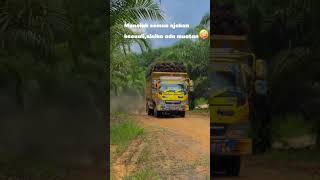 Download lagu kenalpot serigala muatan sawit mp3 Download lagu kenalpot serigala muatan sawit mp3