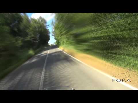 Tismana Topesti Pestisani