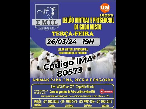 83º Leilão Virtual - EMIL Leilões - Capitólio/Piumhi - MG