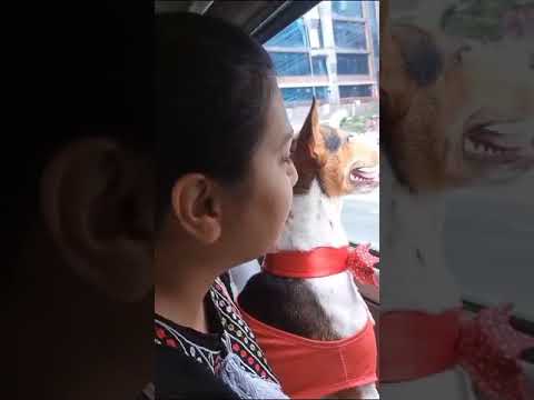 Ocean is having good time with Momma  2024 09 14 at 4 35 41 PM