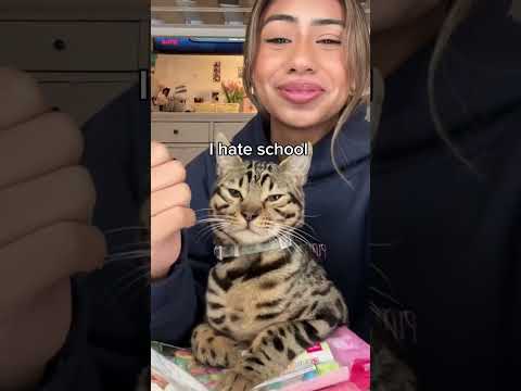 Let’s get JASPER READY FOR SCHOOL… 🏫 🚌📚#viral #youtubeshorts #shorts