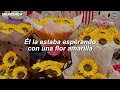 Flores Amarillas - Floricienta (Letra / lyrics)