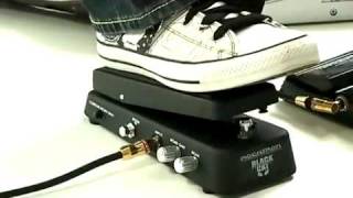 Video thumbnail for Rocktron Black Cat Moan by RocktronUSA