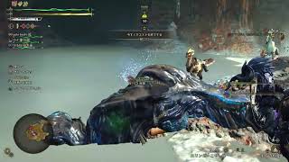 【#モンスターハンターワイルズ】(PS5) {毎日練習}