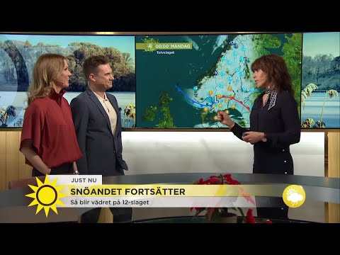 Vädret på 12-slaget - så blir det - Nyhetsmorgon (TV4)
