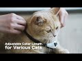 KiTiDOT Red Dot Laser Pointer Cat Collar