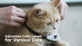 KiTiDOT: The Amusing Cat Collar Toy (2-Pack)