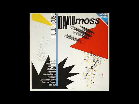 cartridge VAN DEN HUL,balanced output / DAVID MOSS - FULL HOUSE / SIDE - A / VINYL