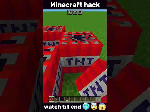 Insane Minecraft TikTok Hack 😱