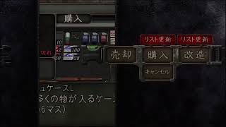 バイオハザード4　村編終盤から
