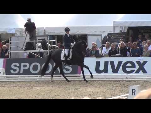 Fior : Fürstenball X Sandro Hit ( old ) Bundeschampionate 2015