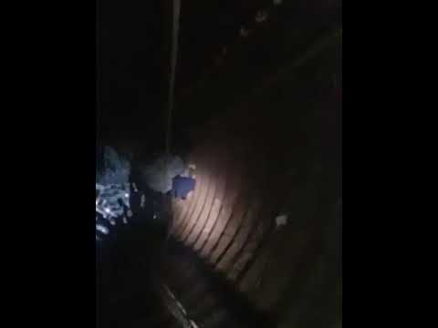 saved a cat today from well