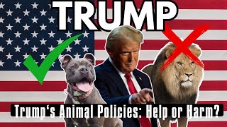 Did Trump Help or Hurt Animals? An UNBIASED opinion about His Policies