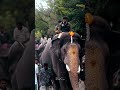 Mysuru Dasara 2025 Navaratri Bheema Abhimanyu Jamboo Savari Mysurudasara2025 Dasara