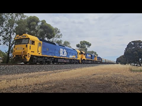 7726V PN up loaded grain transfer (BL XR X, 42H), Dimboola to Murtoa, 1630, 8/1/26, Horsham VIC 