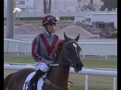 8th Race Meeting of Season 2017 / 2018