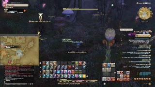 【FF14:anima鯖】新生FF14でハウス購入しました！FCメンバー募集中！【part37】