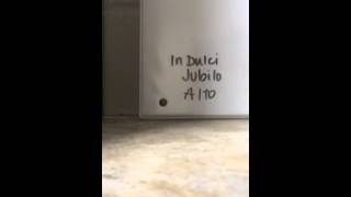 In Dulci Jubilo - Alto