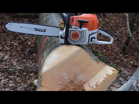 Baumfällung geht schief