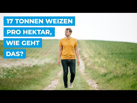 17 Tonnen Weizen pro Hektar, wie geht das?
