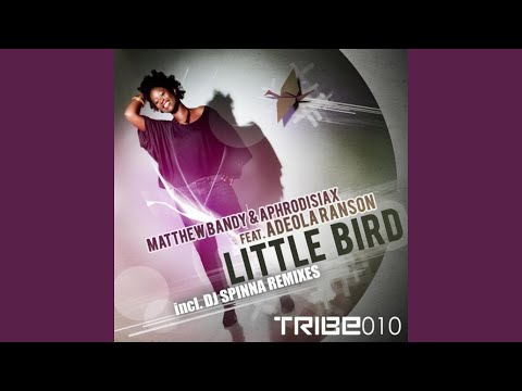 Little Bird (DJ Spinna Mix) (feat. Adeola Ranson)