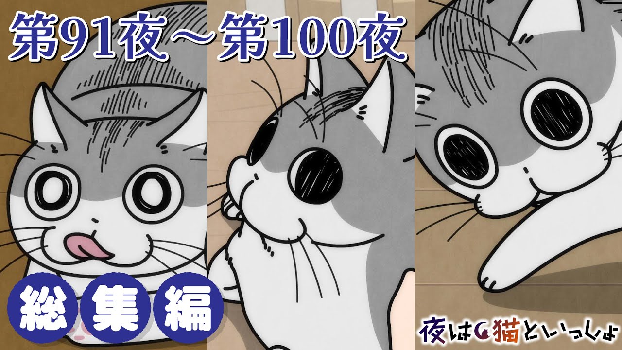 アニメ『夜は猫といっしょ』×10！【第91夜～第100夜まとめ】