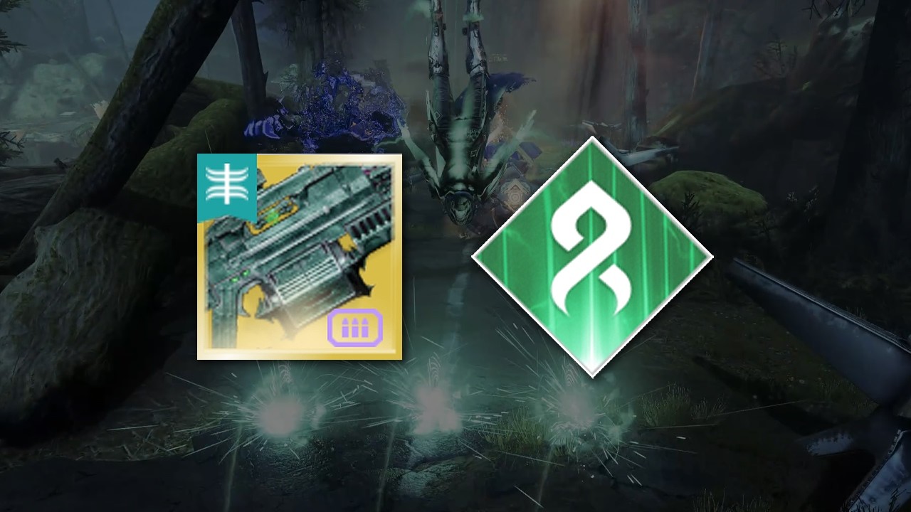 Service of Luzaku Strand Hunter vs Solo GM Alert Defiant Battleground EDZ [Destiny 2 Renegades]