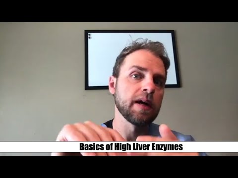 What Does It Mean When Liver Enzymes Are High?