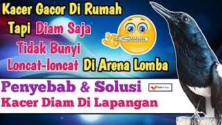 Download lagu Kacer Dirumah Gacor, Tapi Di Lapangan Diam? mp3