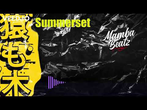 sada baby x detroit x helluva type beat "Summerset"