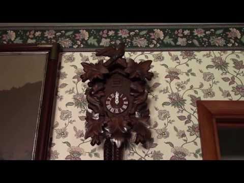 23 year old cuckoo just got restoration!!!