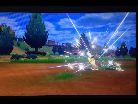Live Shiny Galarian Farfetch'd [Full Odds], 529 Overworld Encounters, Pokemon Sword BQ#4