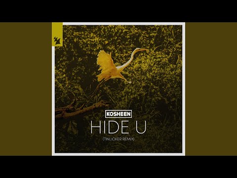 Hide U (Tinlicker Extended Remix)