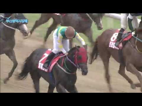 2016 Busan Mayors Cup - 1800m - (US$500,000) (KGIII)