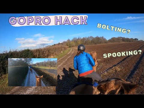 GoPro Head Cam Hack: Spooking and Bolting?!