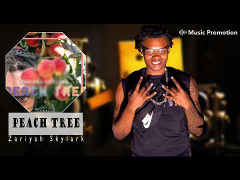 Hip hop & Rap track 'Peach Tree' by ZariyahSkylark