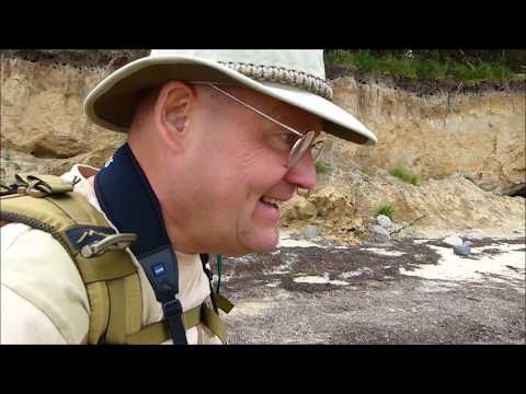 Steilküste bei Gollwitz (Ostseeinsel Poel)