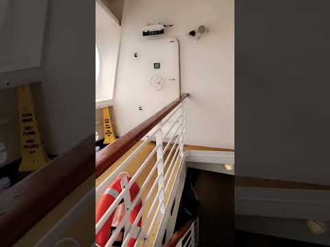 Thumbnail for Brilliance of the seas #drydock #australia #royalcaribbean  #crew #crewlife #newcastle #seafarer