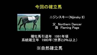 【ゆっくり解説】ウイニングポスト9　2022　系統確立　ラウンドテーブル・ニジンスキー系編