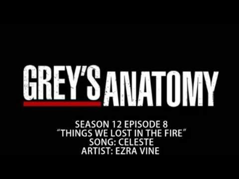 Grey's Anatomy S12E08 - Celeste by Ezra Vine