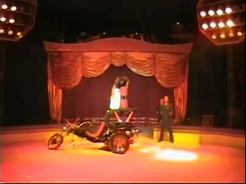 Konstantin Bessogonov Rola Rola