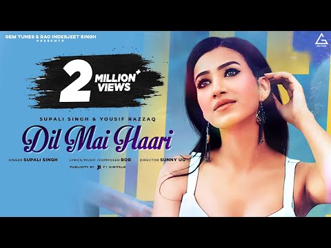 Dil Mein Haari — watch video