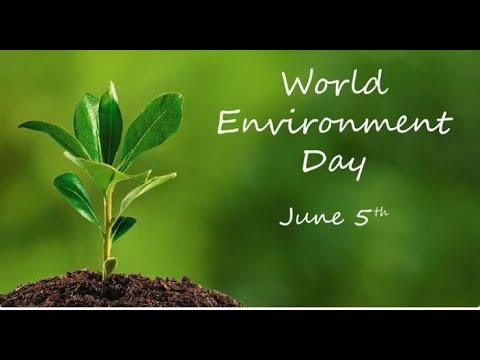 World Environment Day 2023 Wishes in English Messages and Quotes Send Happy Environment DayGreetings