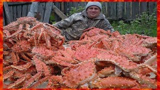Чем и на что ловят краба