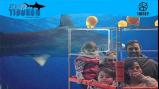 DIA 3 Expo Tiburon129