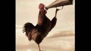 Download lagu Zahra - Ayam Jago mp3