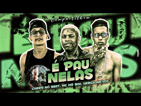 É PAU NELAS - CHARD NO BEAT, MC HERICK, MC MR BIM #bregafunk