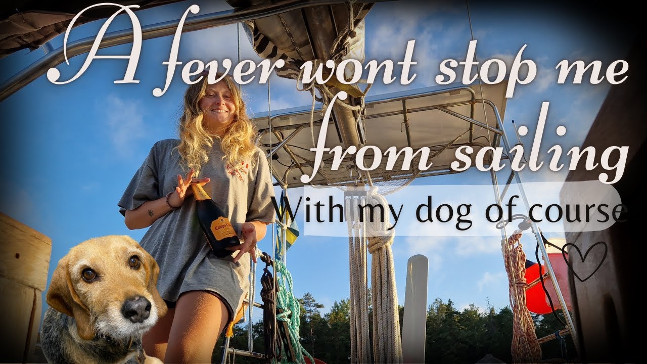 Solo Sailing with My Dog While Battling a Fever | Closing Down the Club Island SMAS E8