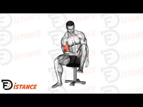 Exercice Curl concentré biceps avec son ischio